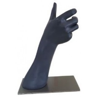 Presentatie Hand - Display Hand