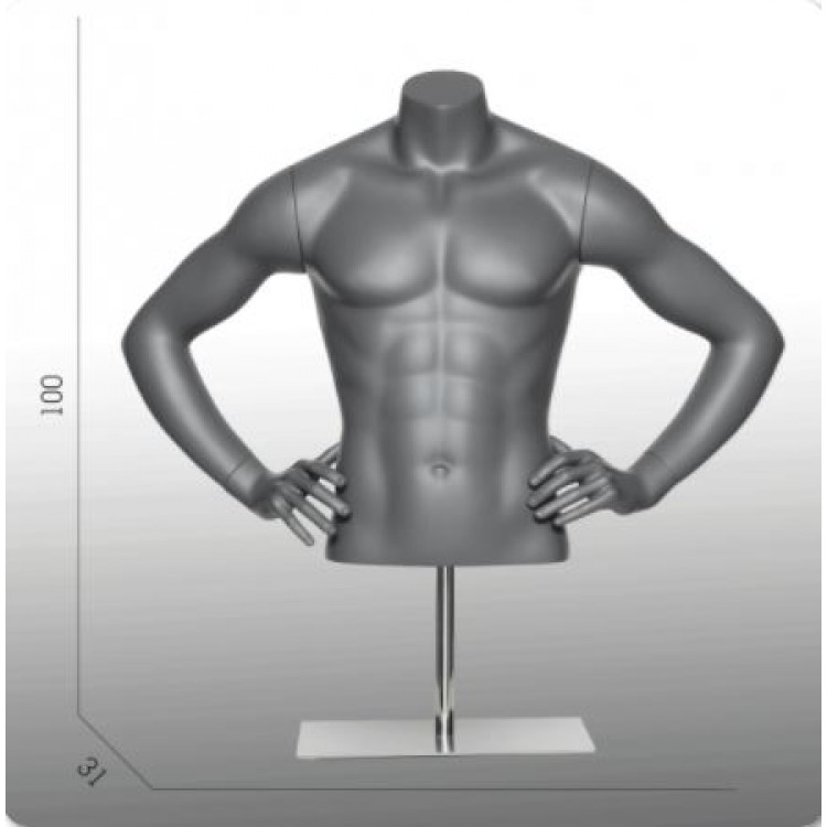 Male Short Torso Model with Arms