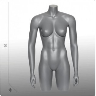 Ladies Torso Long Model With Arms