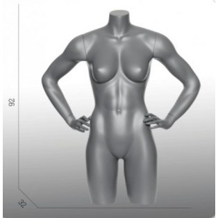 Female Torso Long Model With Arms