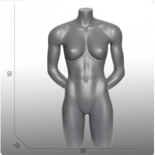  Female Torso Long Model With Arms